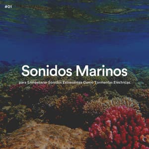 #01 Sonidos Marinos para Enmascarar Sonidos Estresantes Como Tormentas Eléctricas - Olas del Mar