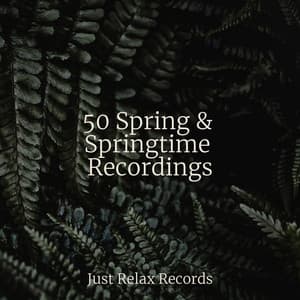 50 Spring & Springtime Recordings - Kinderliederbande