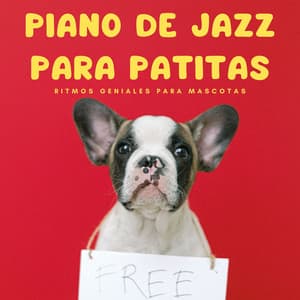 Piano De Jazz Para Patitas: Ritmos Geniales Para Mascotas - Piano Jazz Lujo
