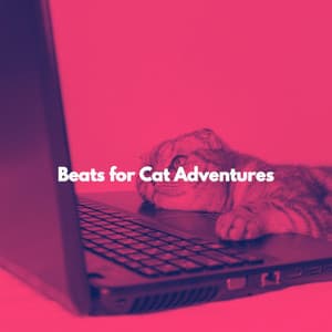 Beats for Cat Adventures - French Cafe Jazz Society