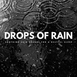 Drops Of Rain: Soothing Rain Sounds For A Restful Sleep - Sleep & Dream Music Academy