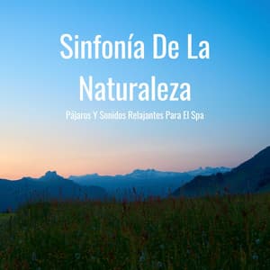 Sinfonía De La Naturaleza: Pájaros Y Sonidos Relajantes Para El Spa - Canciones de animales y pájaros