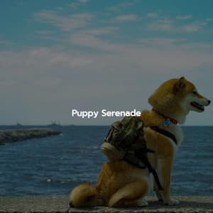 Puppy Serenade - Coffee Shop BGM