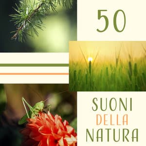 50 Suoni della natura - Suoni naturali zen