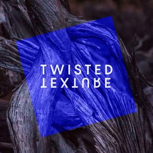 Twisted Texture - Christopher Salt