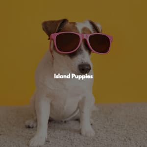 Island Puppies - Breakfast Jazz Playlist