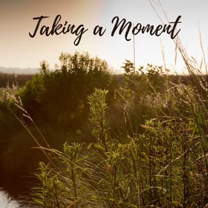 Taking a Moment - Koh Lantana