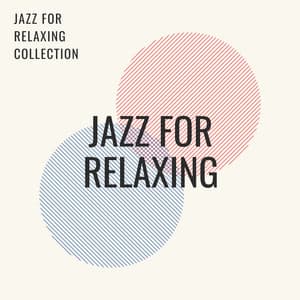 Hoops - Larni Maurik Trio