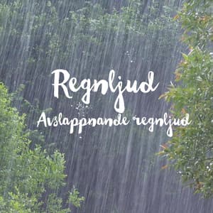Avslappnande regnljud - Regnljud