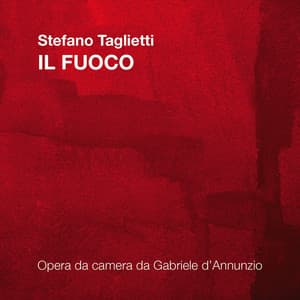 Stefano Taglietti: Il fuoco - Stefano Taglietti