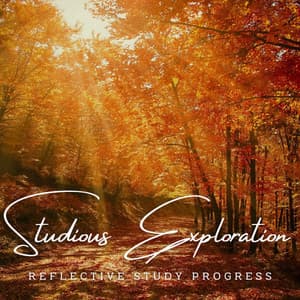 MindfulAcuity: Meditative Melodies for Studious Exploration - Music for Quiet Moments