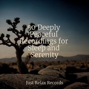 50 Deeply Peaceful Recordings for Sleep and Serenity - Yoga Sounds