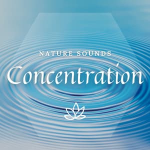 Concentration - Meditway