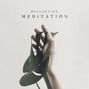 Reflection - Meditation