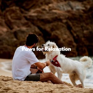 Paws for Relaxation - Mellow Indie Vibes
