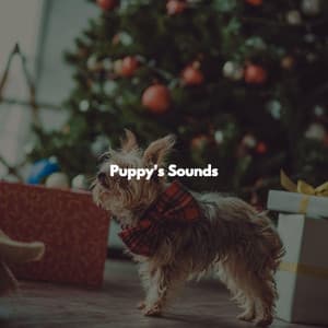 Puppy's Sounds - Classy Bossa Piano Jazz Playlist