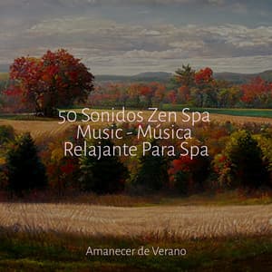 50 Sonidos Zen Spa Music - Música Relajante Para Spa - Musica Reiki