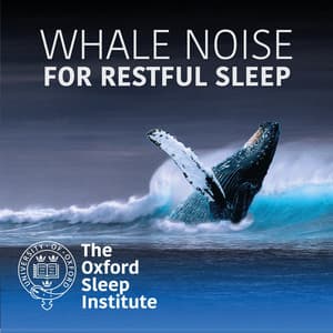 Whale Noise for Restful Sleep - The Oxford Sleep Institute