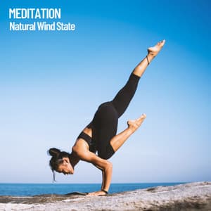 Meditation: Natural Wind State - Binaural beats isochronic experience