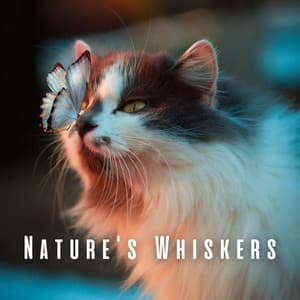Nature's Whiskers: Relaxing Sounds for Contented Cats - Climate Hive