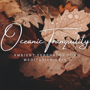Feline Oceanic Tranquility: Ambient Serenades for Meditative Cats - Ocean Minds