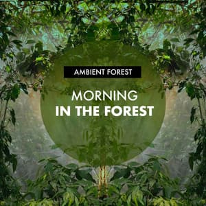 Morning in the Forest - Ambient Forest