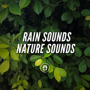 Rain Sounds Nature Sounds - Nature Sounds