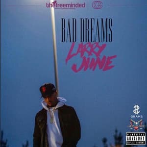 Bad Dreams - Larry June