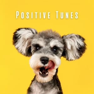 Positive Tunes: Music for Uplifting Pets - Sunday Morning Music