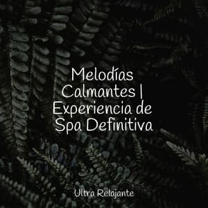 Melodías Calmantes | Experiencia de Spa Definitiva - Musica Para Dormir Profundamente