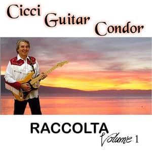 Raccolta, Vol. 1 - Cicci Guitar Condor