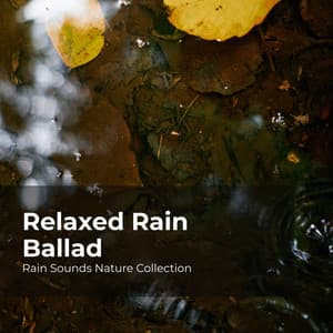 Relaxed Rain Ballad - Rain Sounds Nature Collection