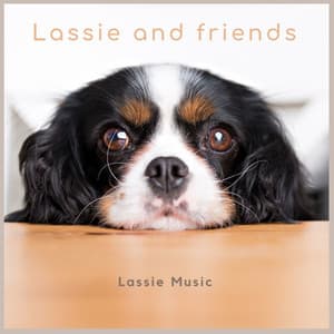 Lassie Music - Lassie and friends