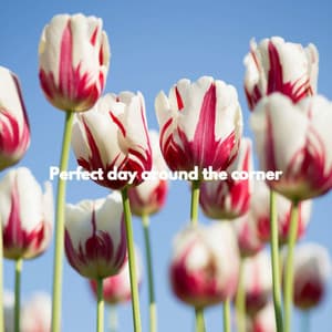 Perfect day around the corner - Productivity Music