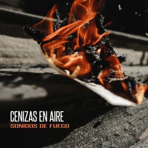 Cenizas en Aire - Sonidos De Fuego