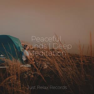 Peaceful Sounds | Deep Meditation - Musica de Relajación Academy