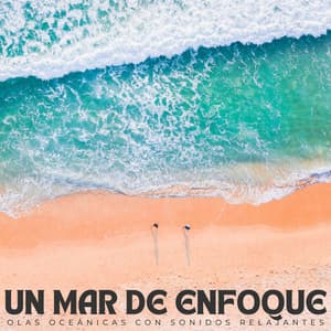 Un Mar De Enfoque: Olas Oceánicas Con Sonidos Relajantes - Música Chill para Cafés