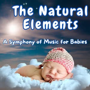 The Natural Elements - A Symphony of Music for Babies - Nature Sounds XLE Library