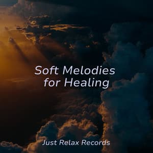 Soft Melodies for Healing - Pro Sound Effects Library
