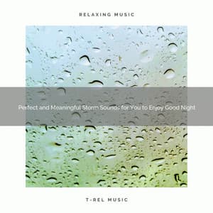 2020 Best: Perfect and Meaningful Storm Sounds for You to Enjoy Good Night - Rain Spa