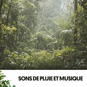 Sons de Pluie et Musique : Calme dans le Goutte-à-Goutte - Dog Relaxation