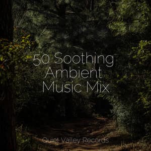 50 Soothing Ambient Music Mix - Nature Sounds Radio