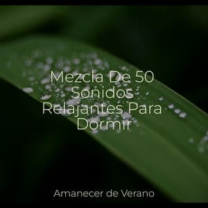 Mezcla De 50 Sonidos Relajantes Para Dormir - Sleep Baby Sleep