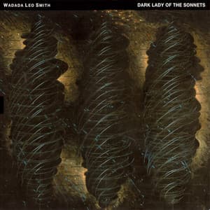 Dark Lady of the Sonnets - Wadada Leo Smith