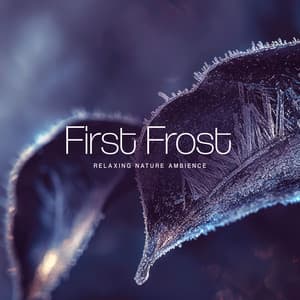 First Frost - Relaxing Nature Ambience