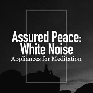 Assured Peace: White Noise - Appliances for Meditation