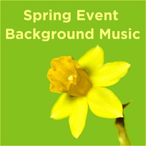 Spring Event Background Music - Piano Music Experts