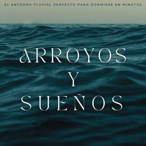 Arroyos Y Sueños: El Entorno Fluvial Perfecto Para Dormirse En Minutos - Los durmientes de agua