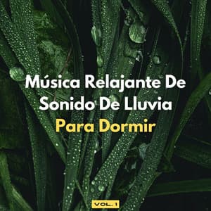 Música Relajante De Sonido De Lluvia Para Dormir, Vol. 1 - Lluvia Para Dormir Mejor