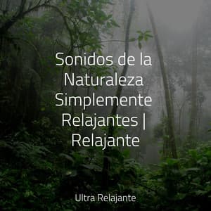 Sonidos de la Naturaleza Simplemente Relajantes | Relajante - Meditação Yoga Maestro